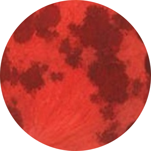 ../../shimages/scorpio/blood_moon_gr.png